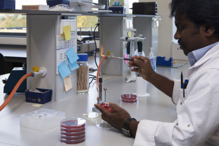 Laboratory of Medical Microbiology (4).jpg