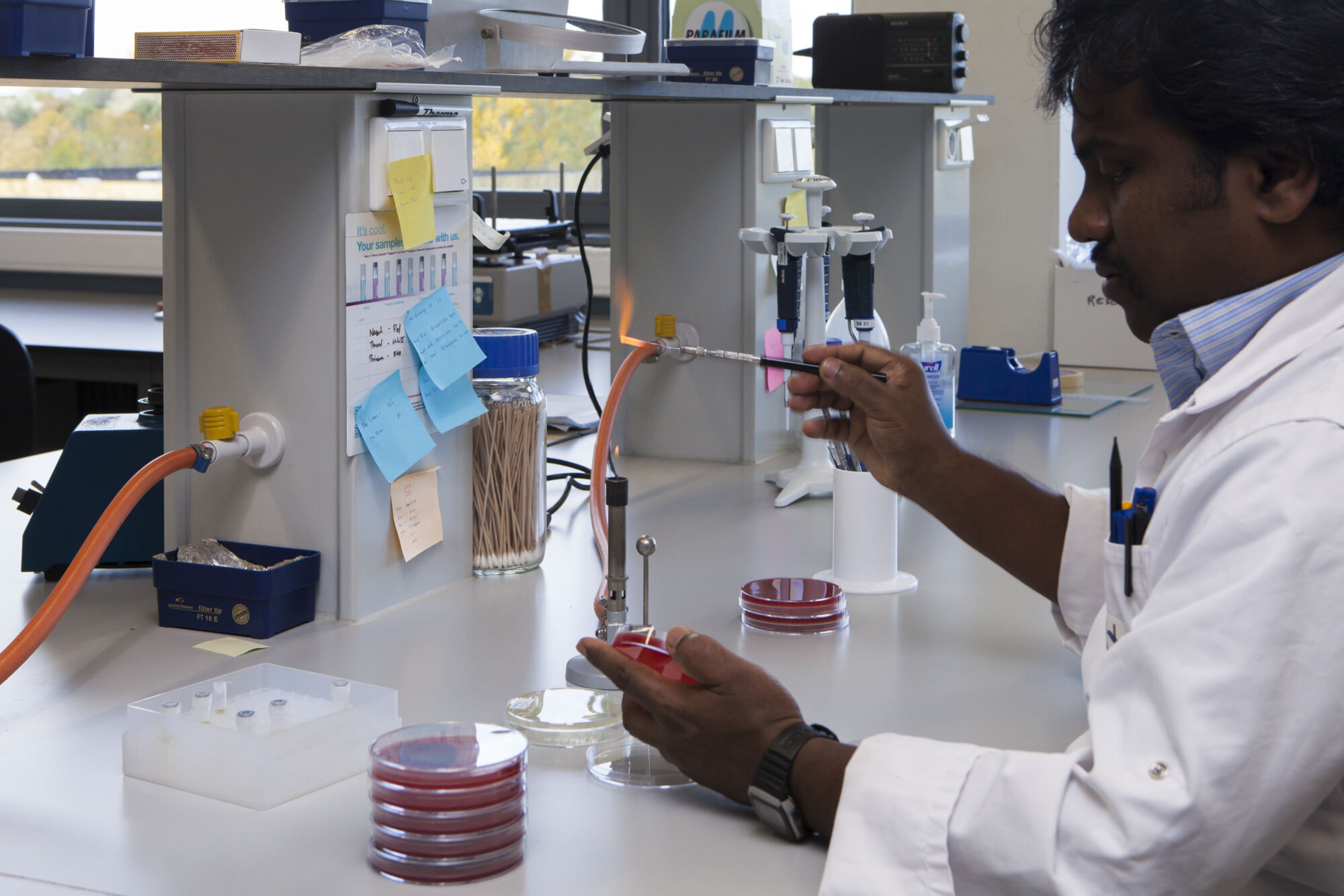 Laboratory of Medical Microbiology (4).jpg