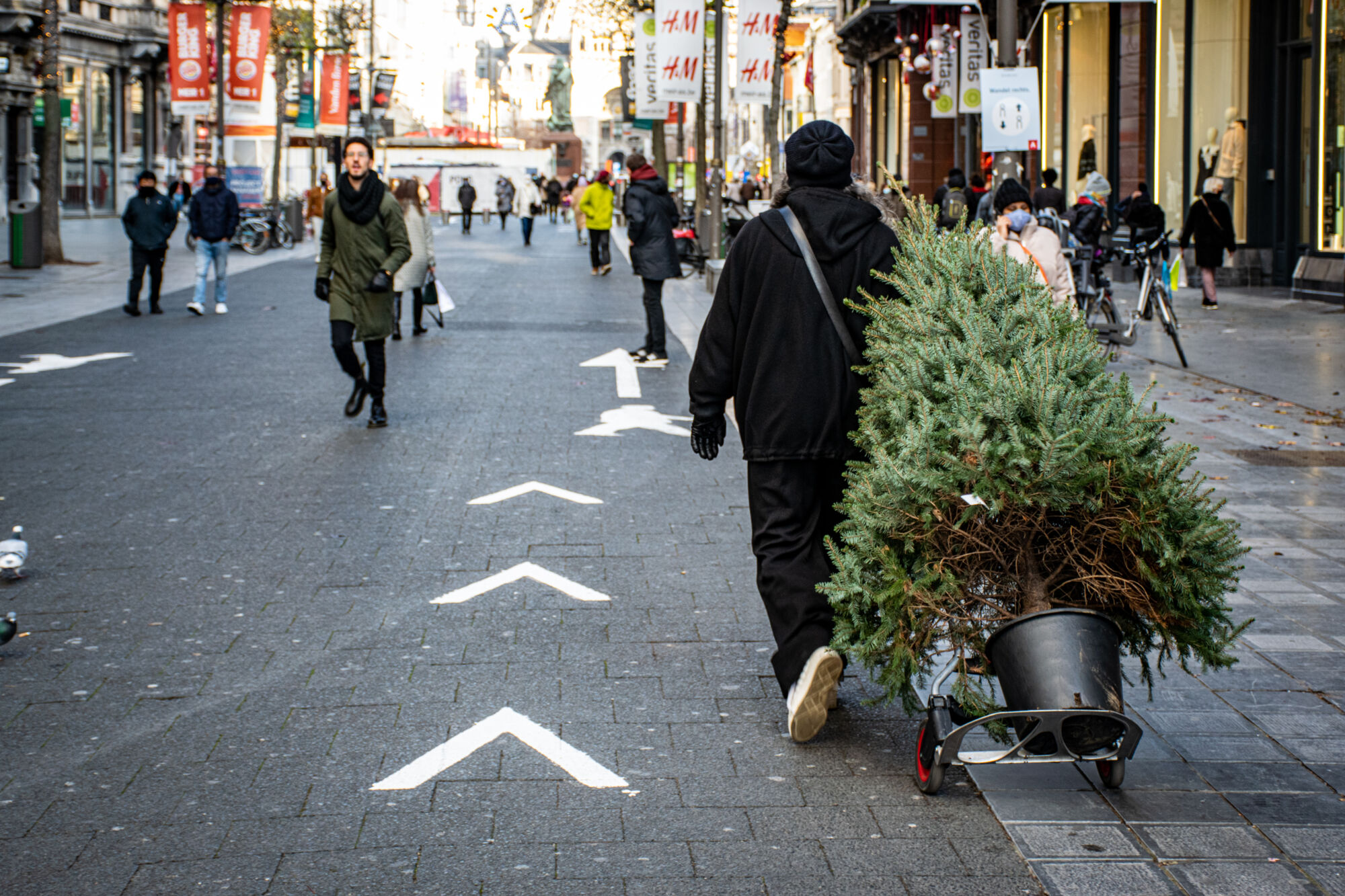 Antwerpen winter 2020 (42).jpg