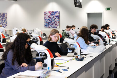histologie-bachelorBMW-32.jpg