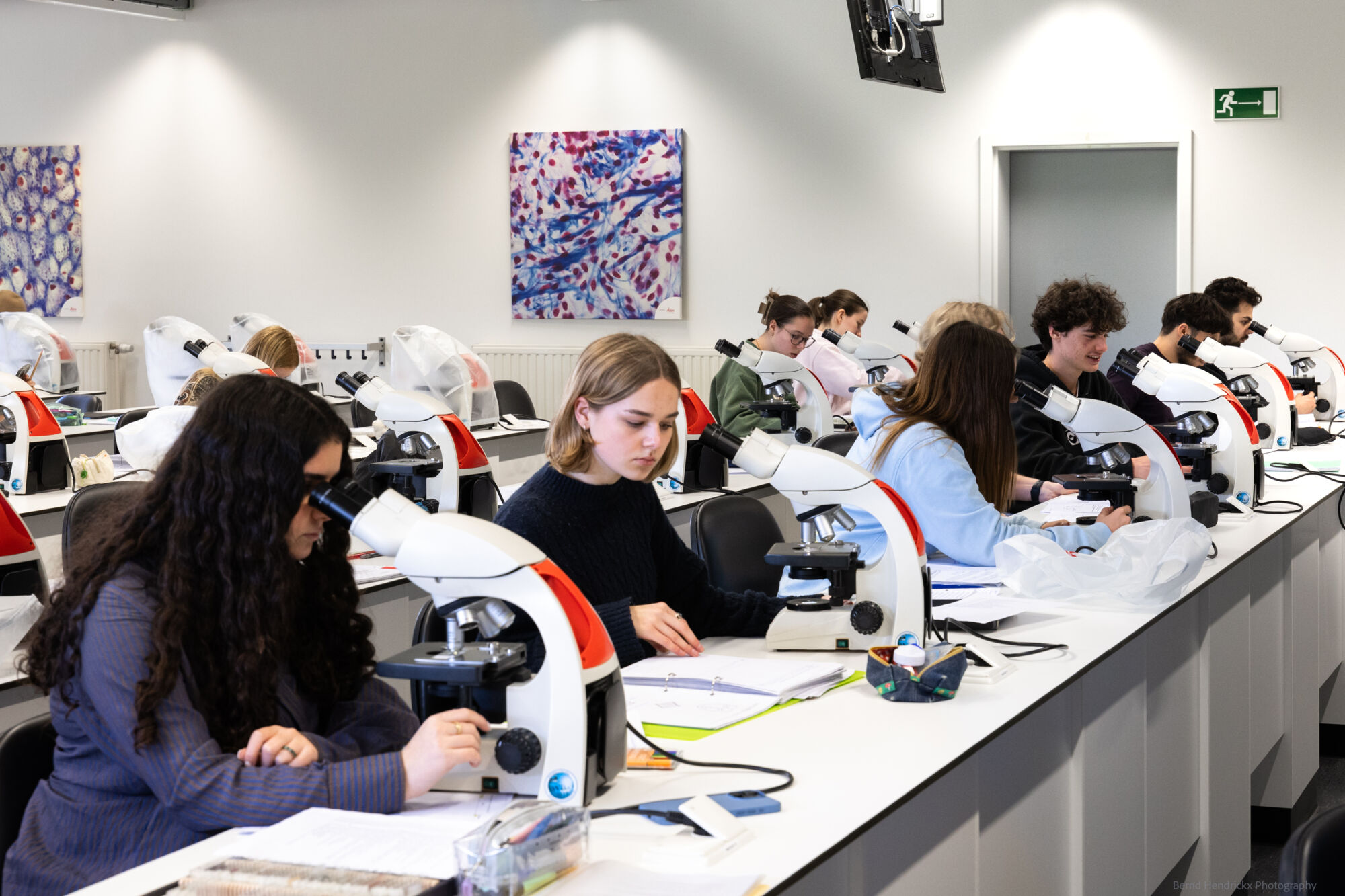 histologie-bachelorBMW-32.jpg