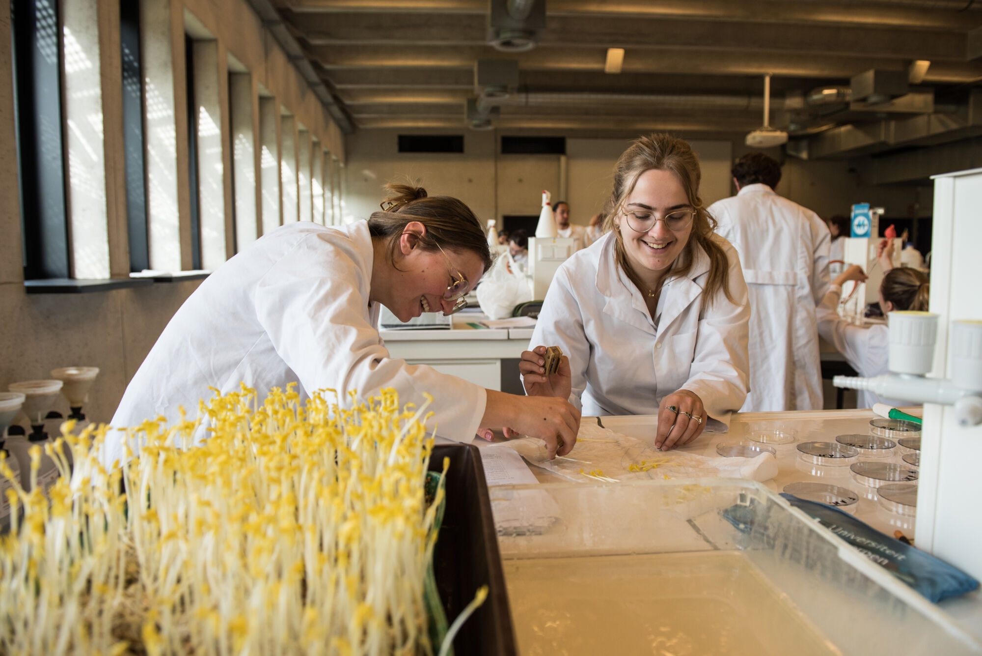 Biologie - vorm en functie planten (8).jpg