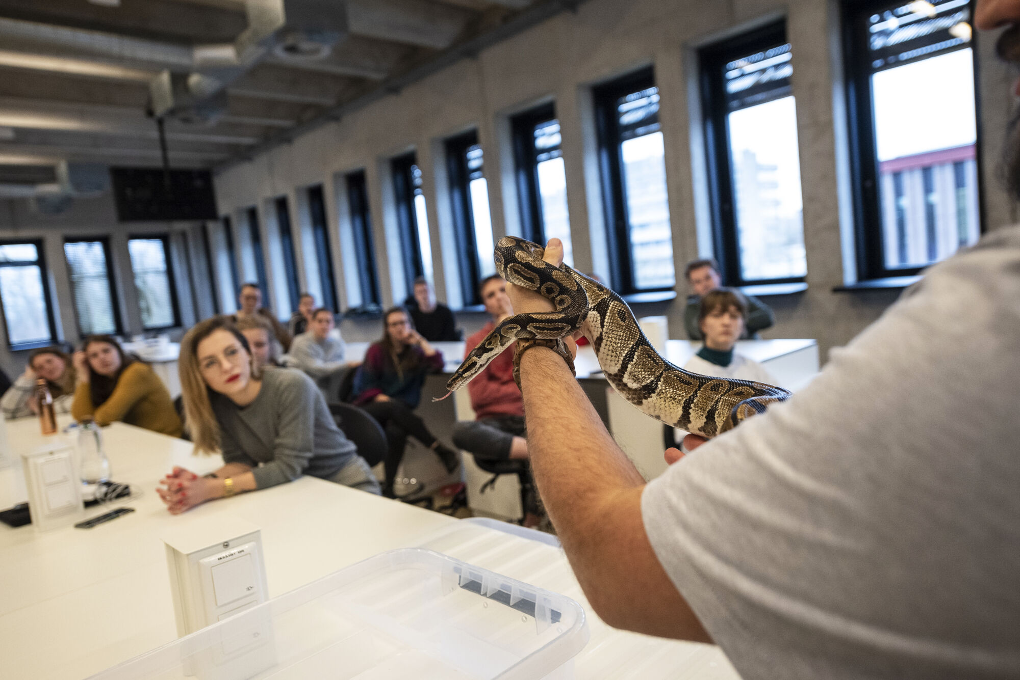 Biologie - amfibieën en reptielen (40).jpg