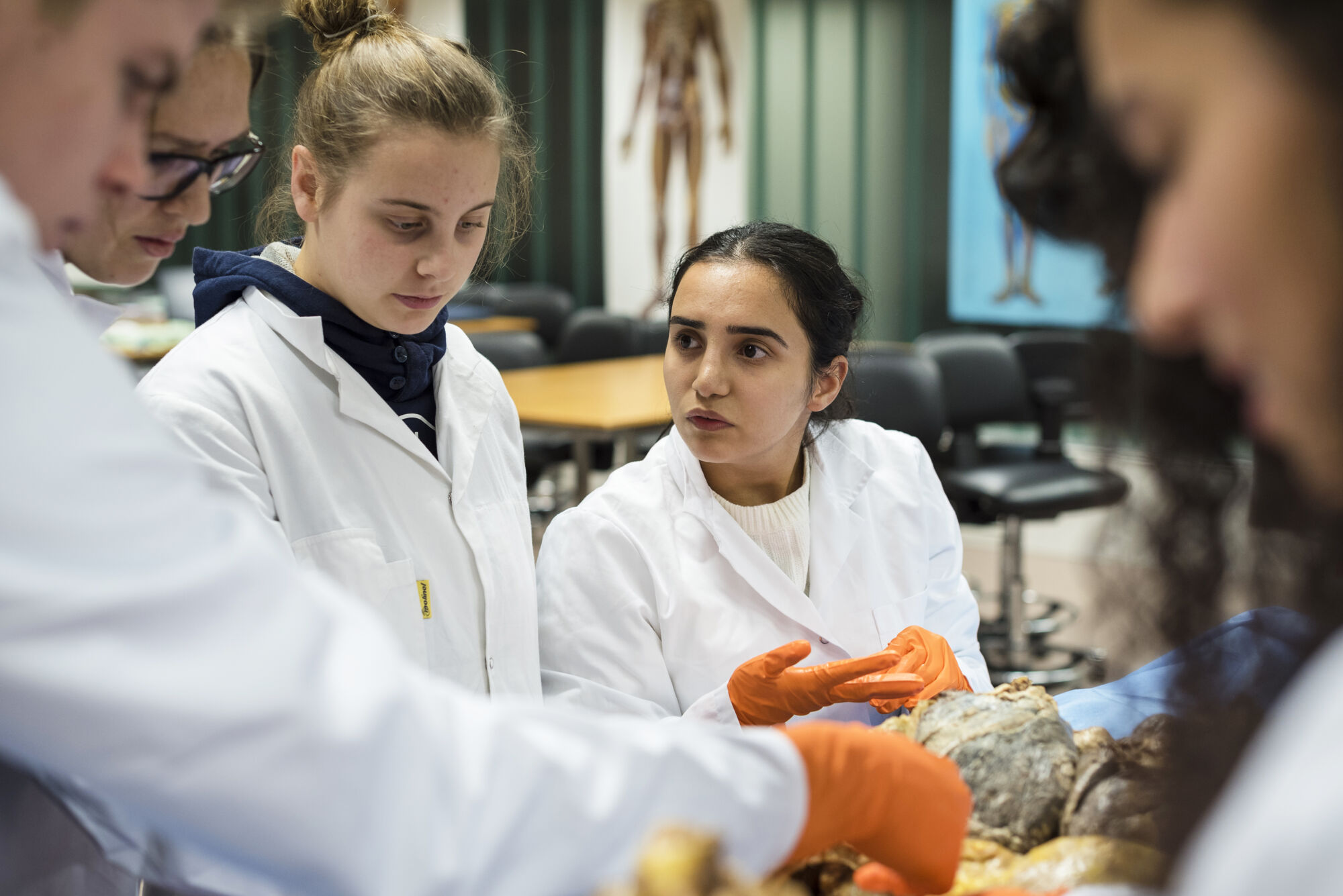 Anatomiepracticum geneeskunde (60).jpg