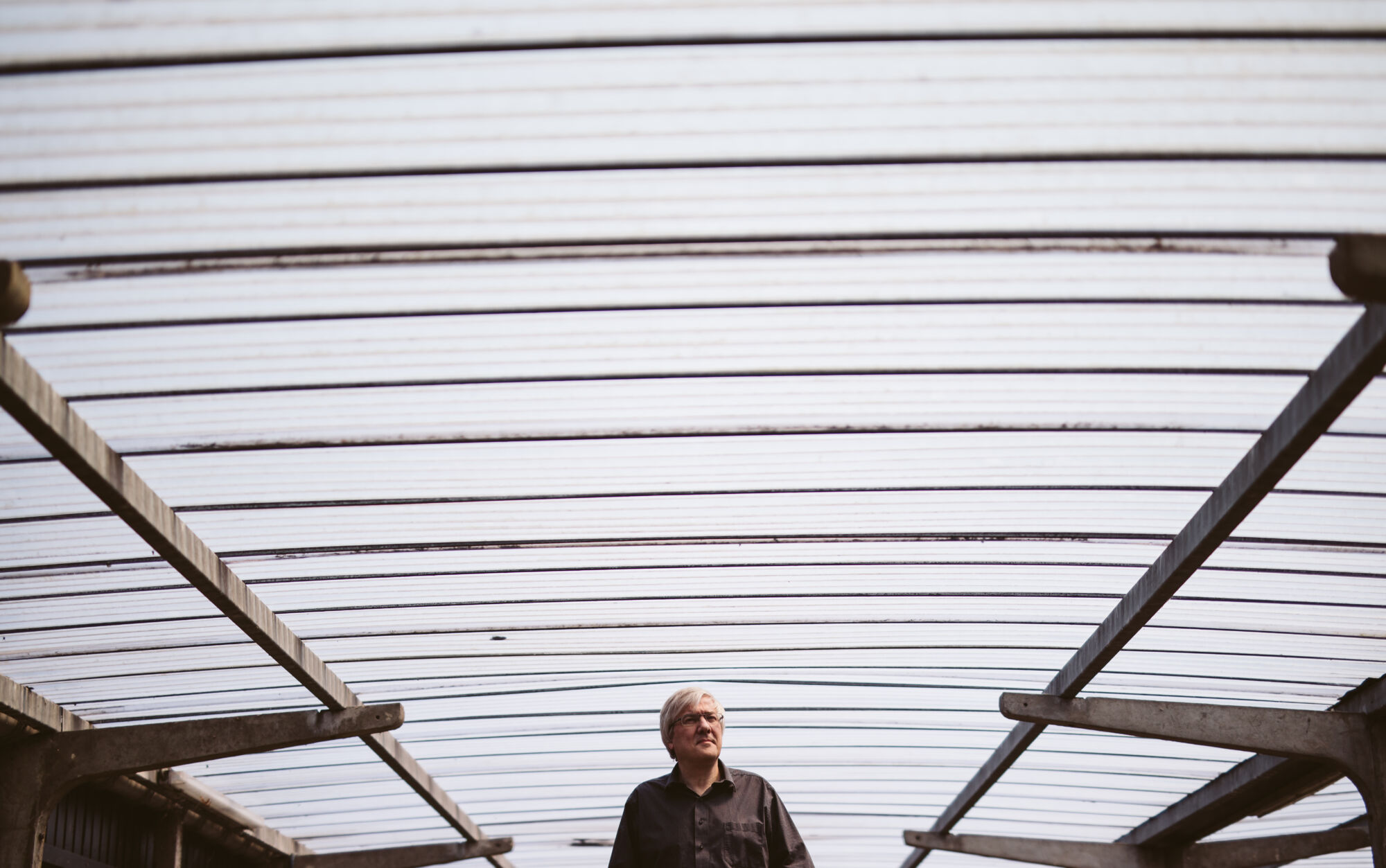 Walter Daelemans (2).jpg
