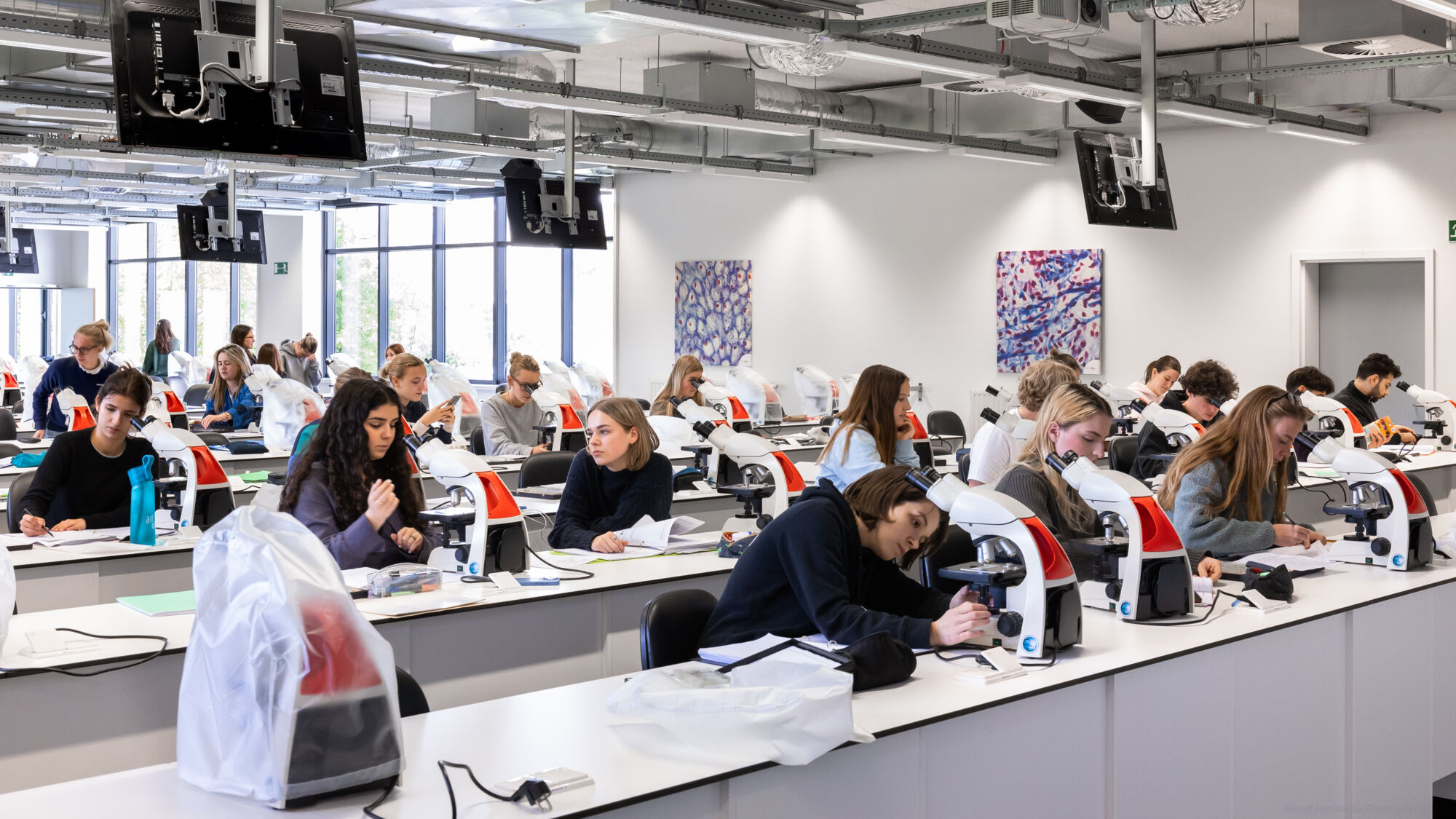 histologie-bachelorBMW-14.jpg