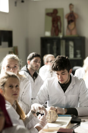 Neuro-practicum - biomedische wetenschappen (19)