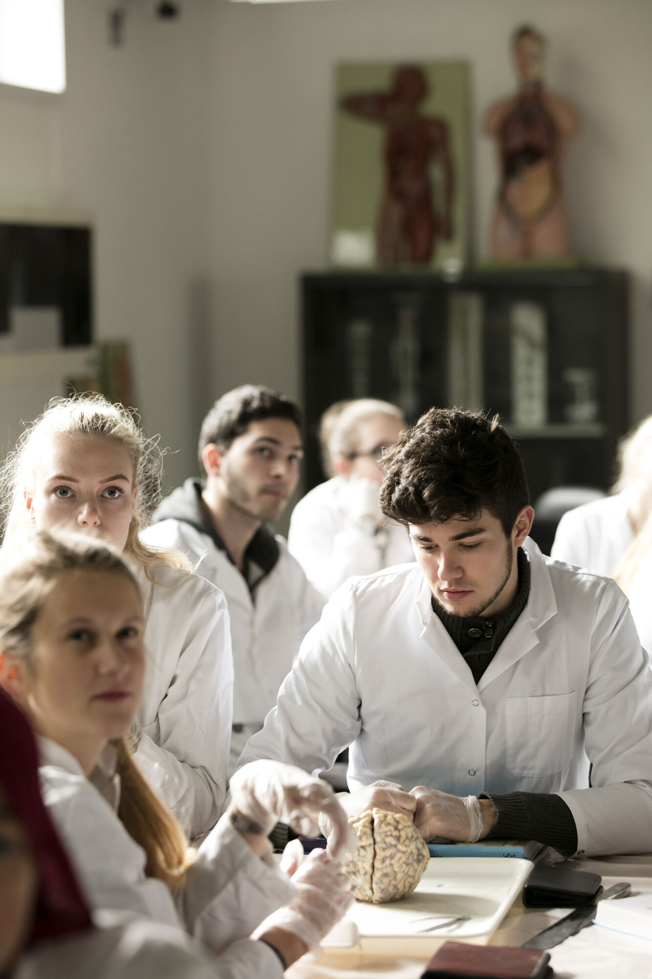 Neuro-practicum - biomedische wetenschappen (19)
