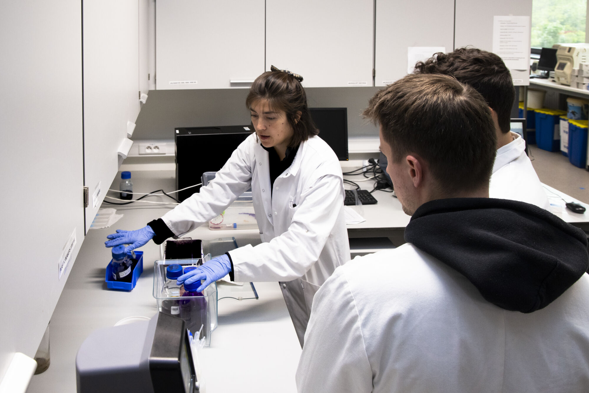 Advanced Wastewater Engineering - IW biochemie (2).jpg