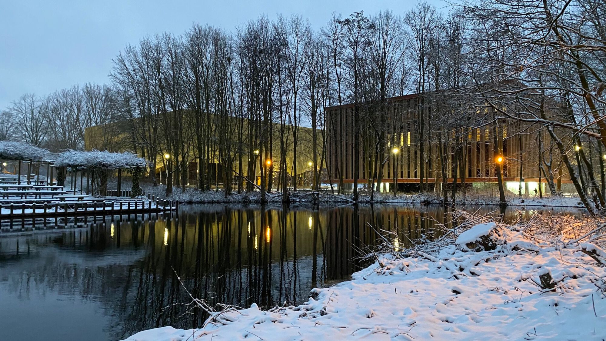 Sneeuwbeelden februari 2021 (08).jpg