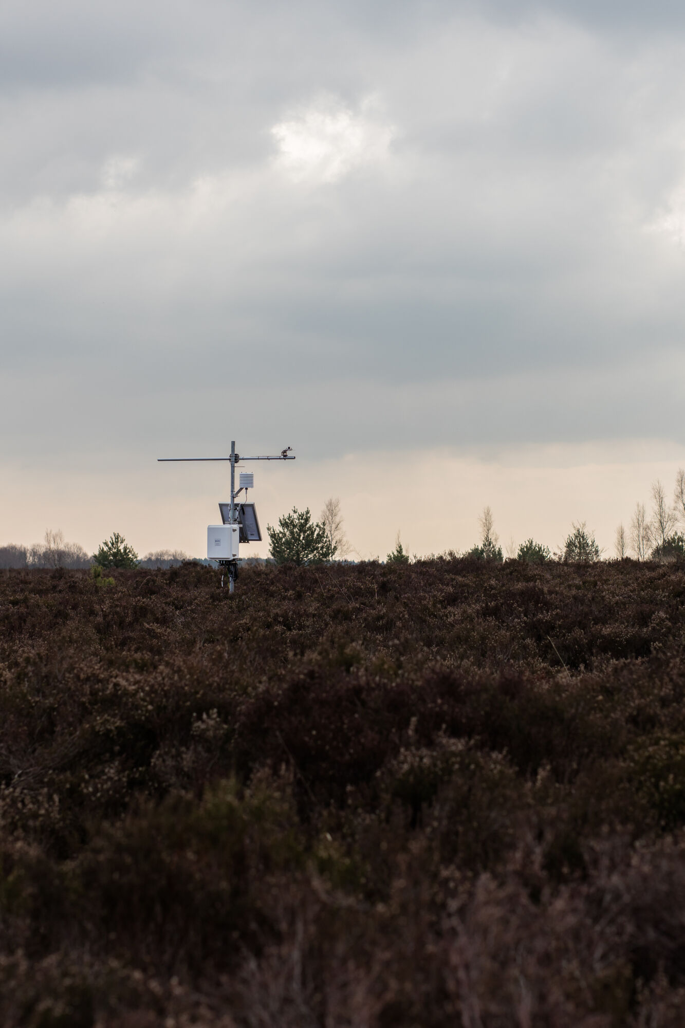 Integrated Carbon Observation System (45).jpg