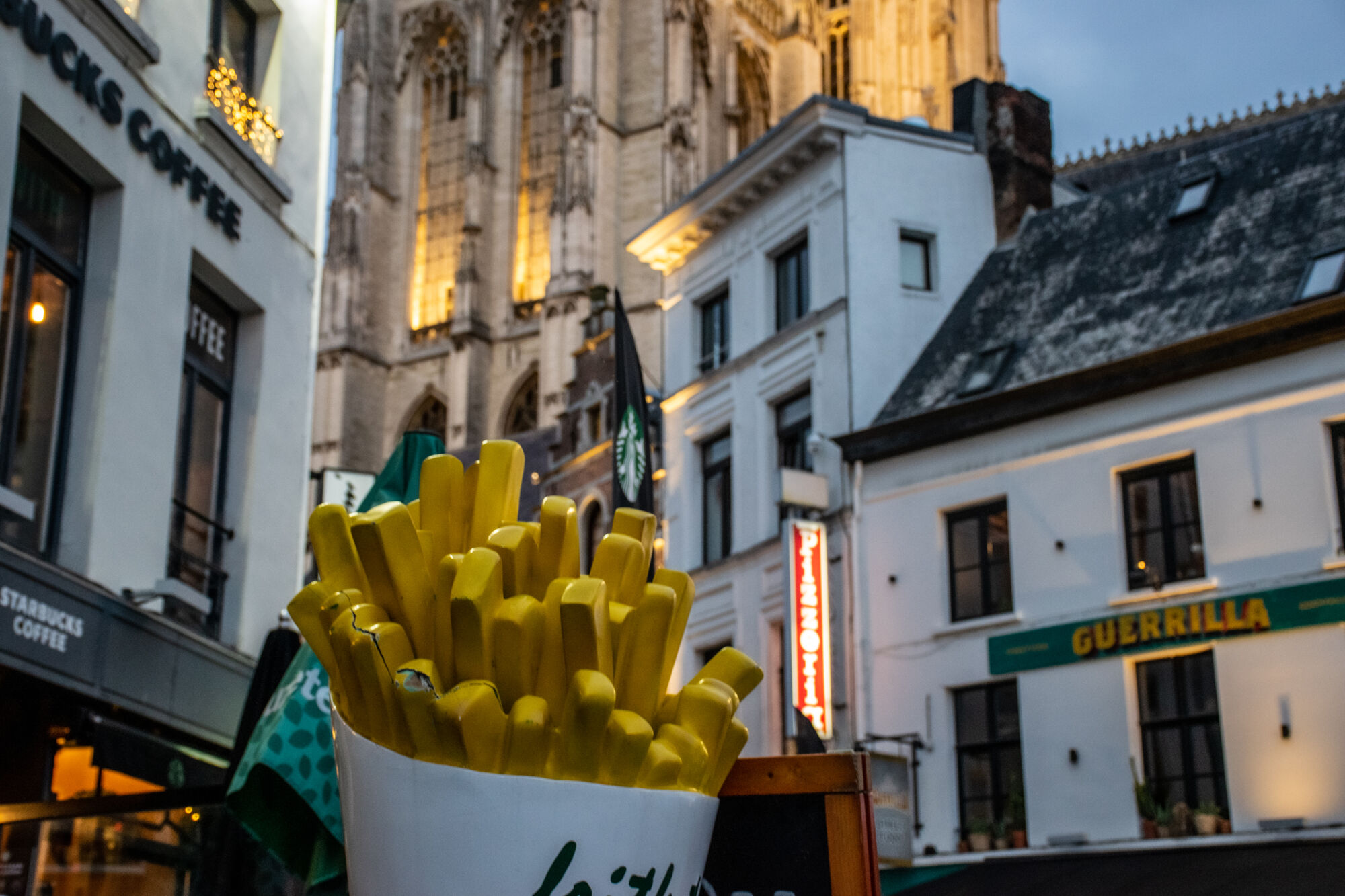 Antwerpen winter 2020 (84).jpg
