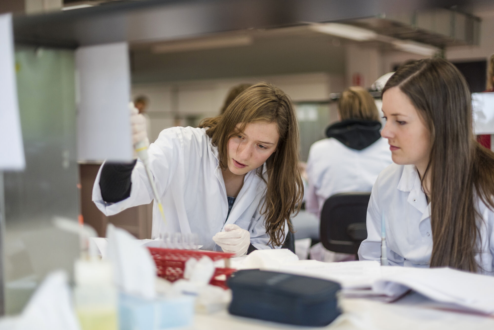 Metabolisme practicum diergeneeskunde (08).jpg