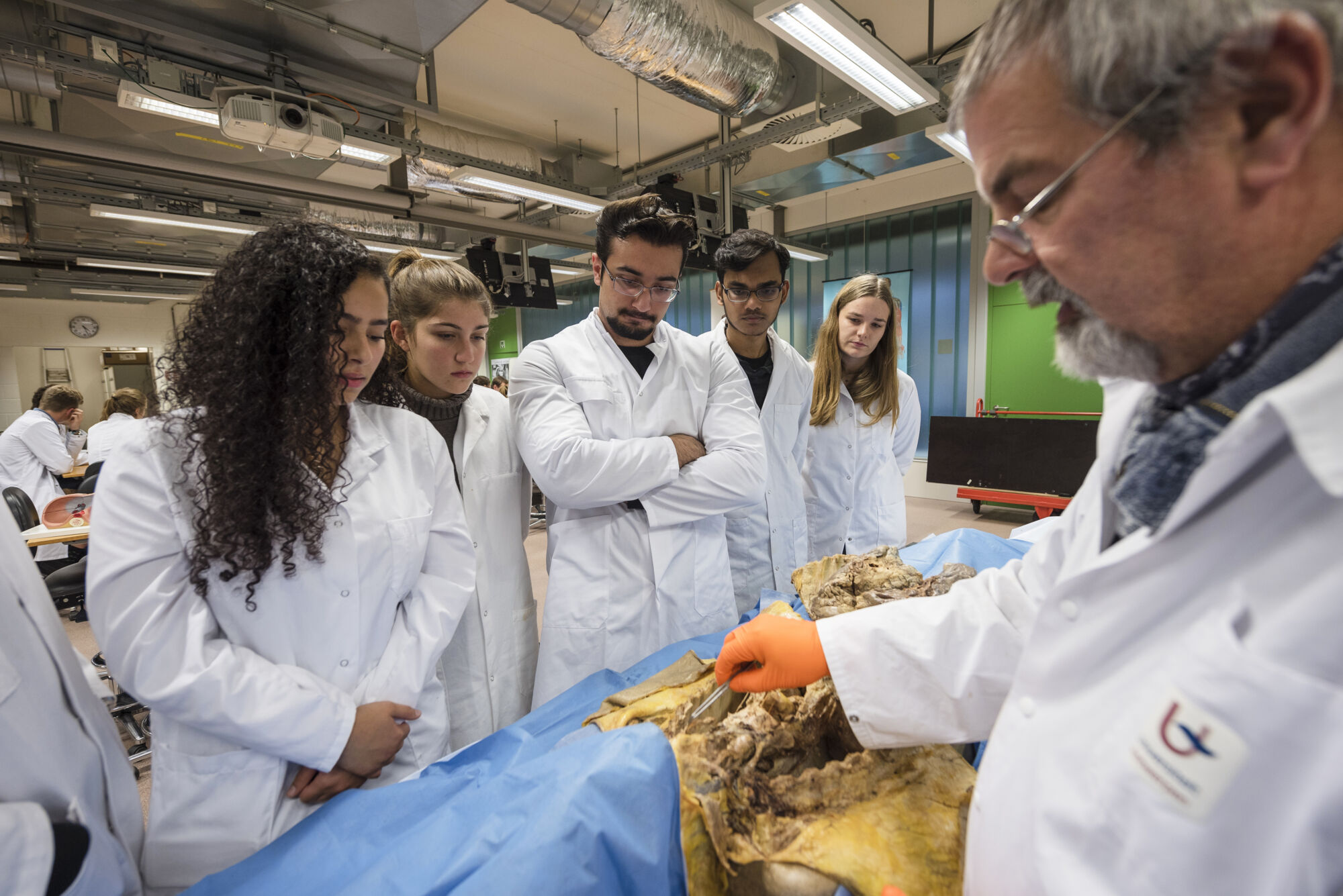 Anatomiepracticum geneeskunde (15).jpg