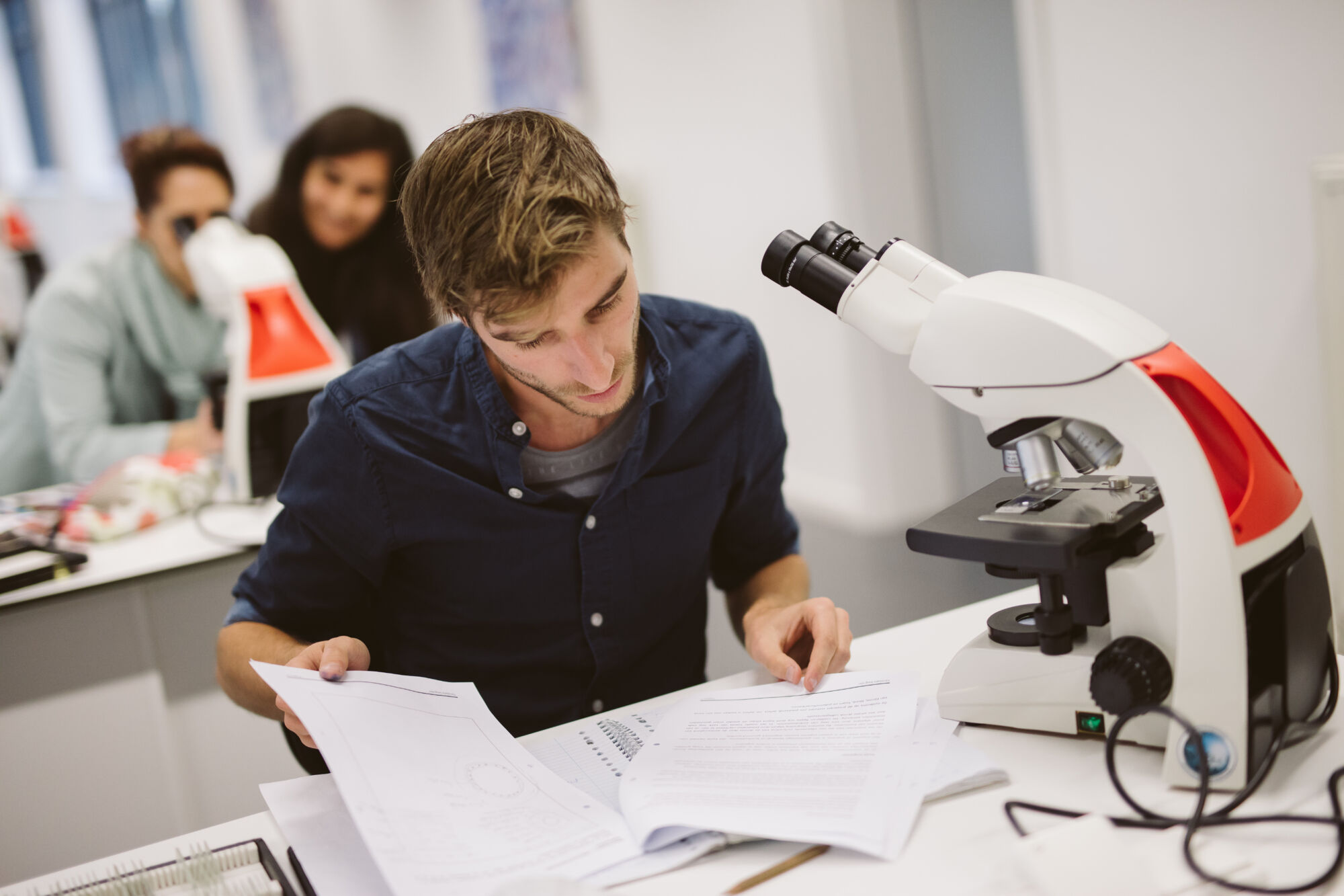 Long en nier practicum biomedische wetenschappen (15).jpg