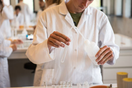Biologie - vorm en functie planten (24).jpg