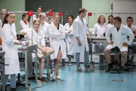 Diergeneeskunde practicum