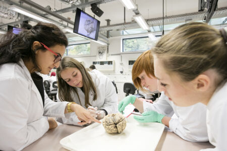 Neuro-practicum - biomedische wetenschappen (16)