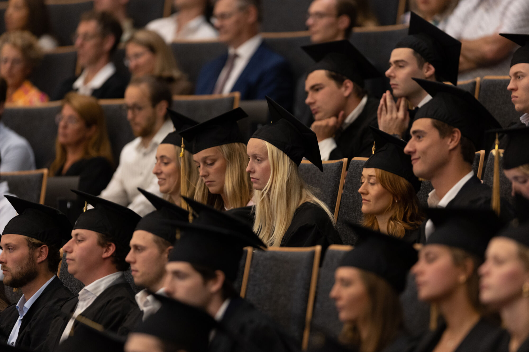 Proclamatie geneeskunde - master - 2023 