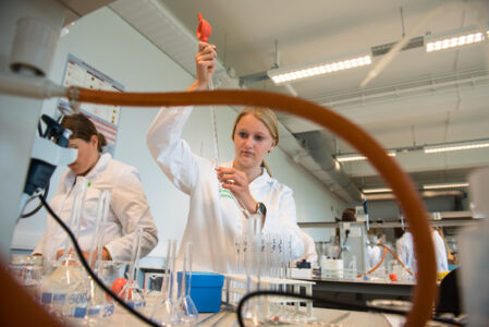 Geïntegreerd practicum bio-ingenieurswetenschappen (9).jpg
