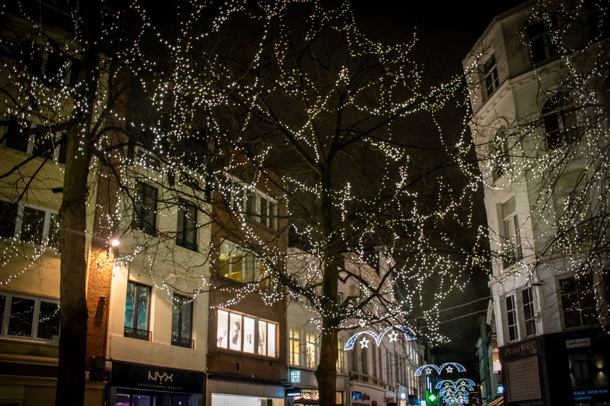 Antwerpen winter 2020 (4).jpg
