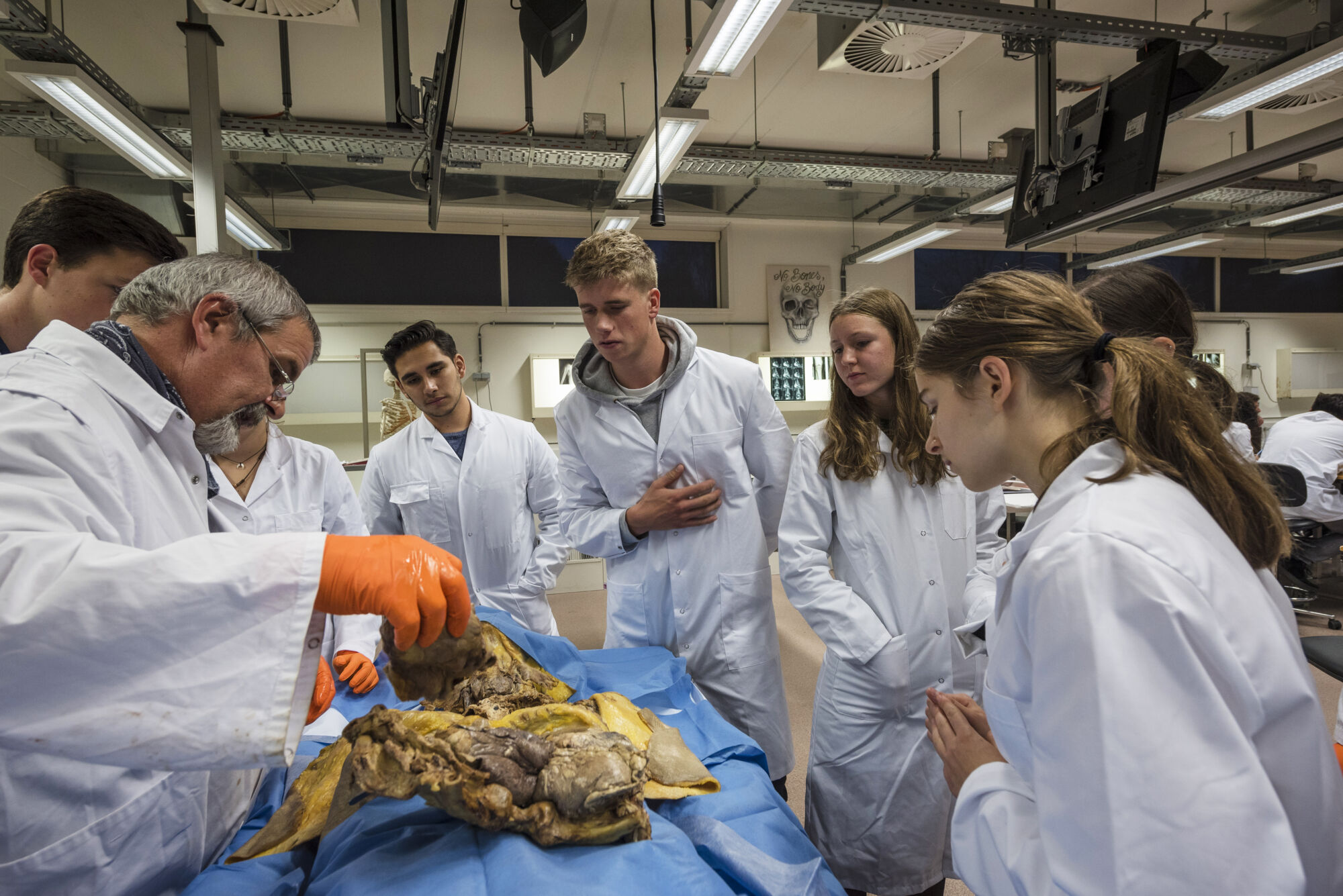Anatomiepracticum geneeskunde (37).jpg