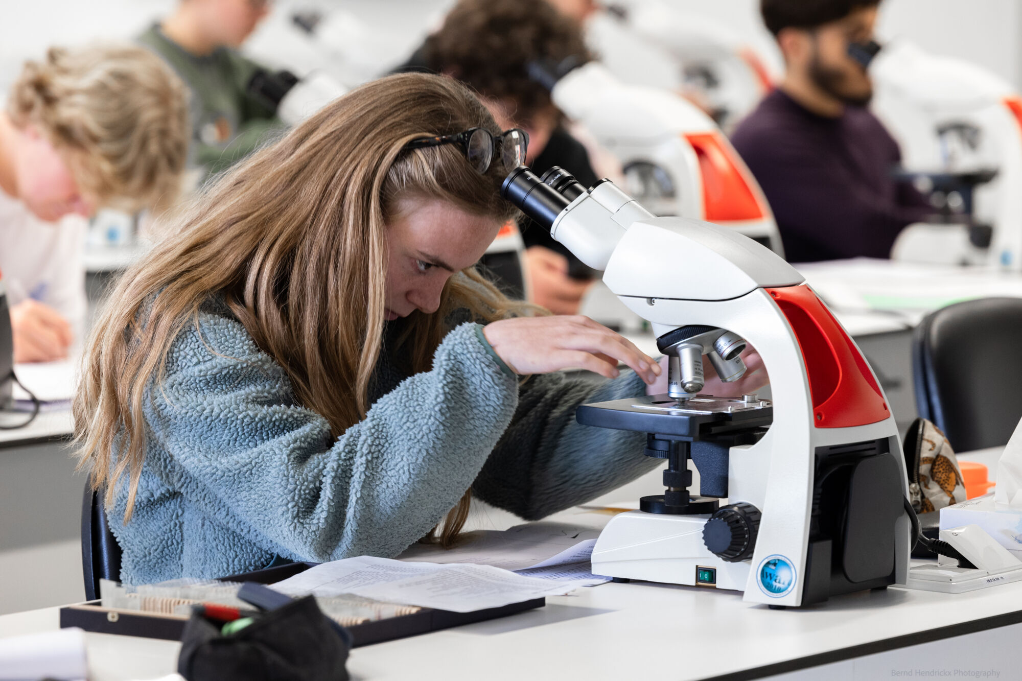 histologie-bachelorBMW-20.jpg