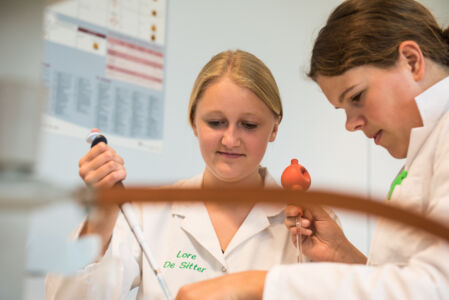 Geïntegreerd practicum bio-ingenieurswetenschappen (28).jpg
