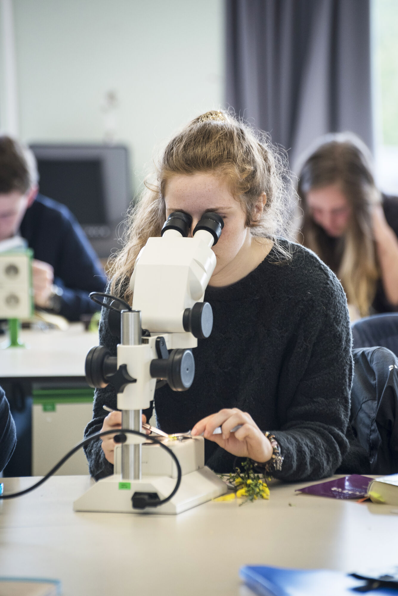 Biologie - Plantenkunde 2016 (13).jpg