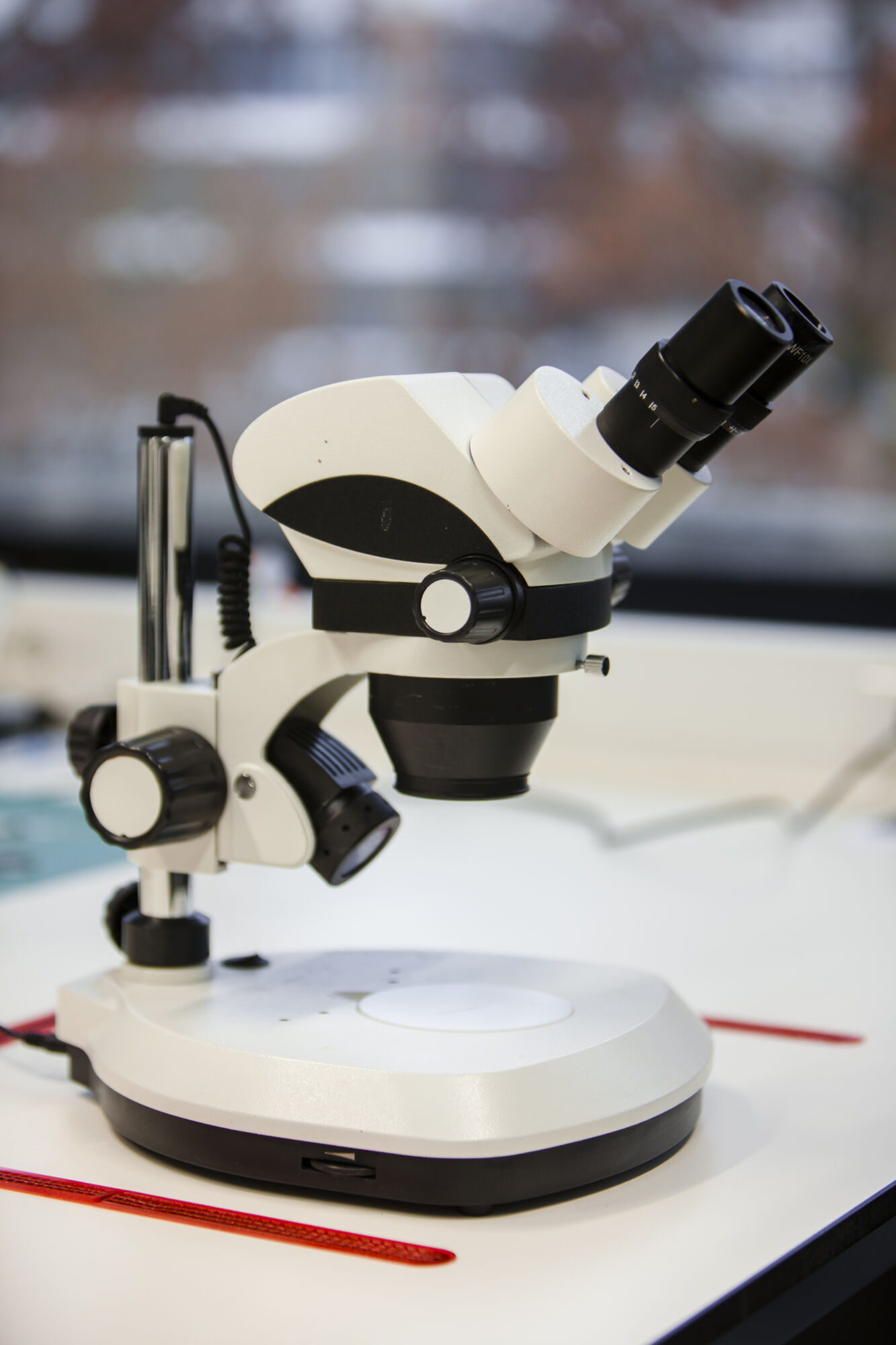 Translational Neurosciences (13).jpg