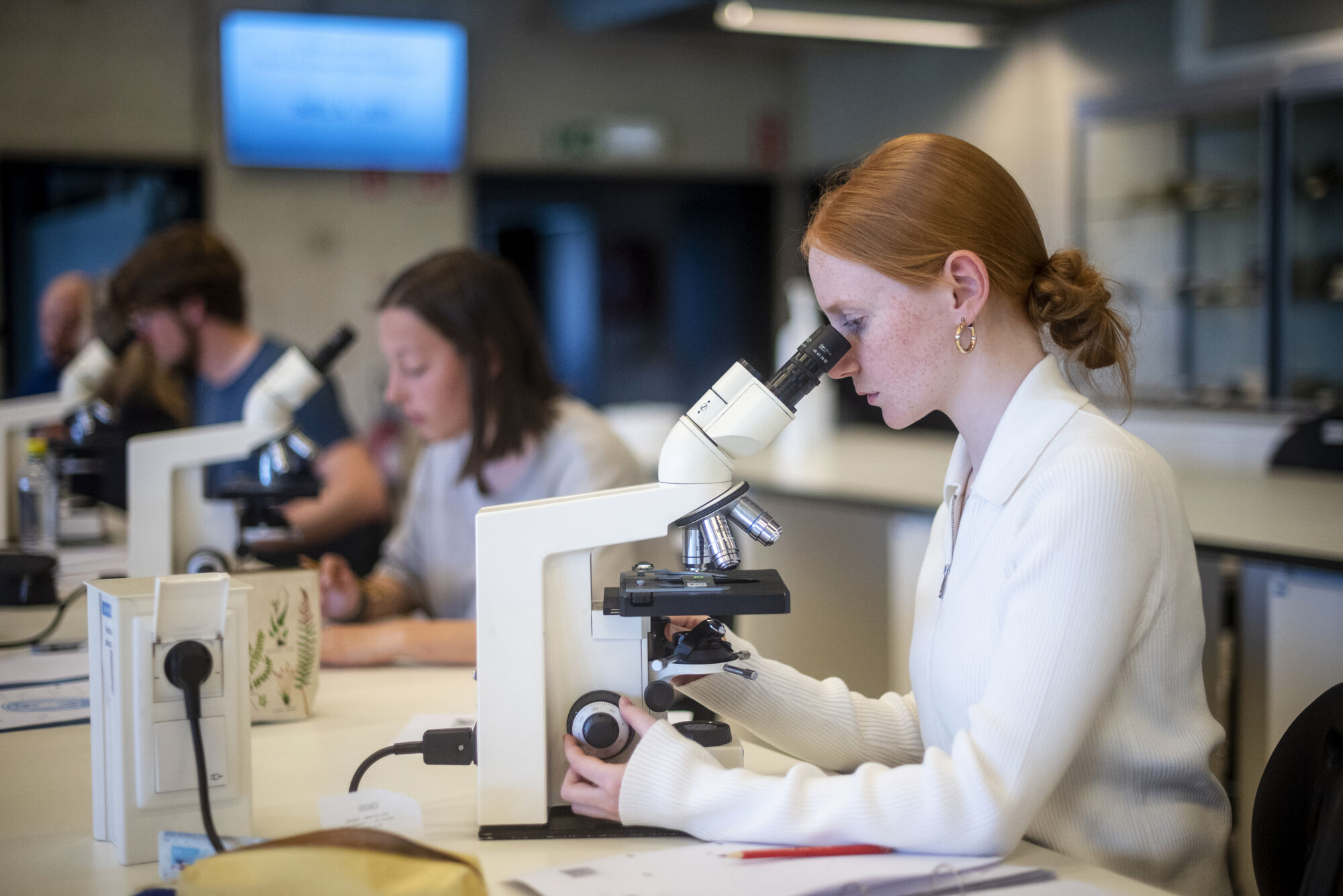 Biologie - Vorm en functie - Microscopie (28).jpg