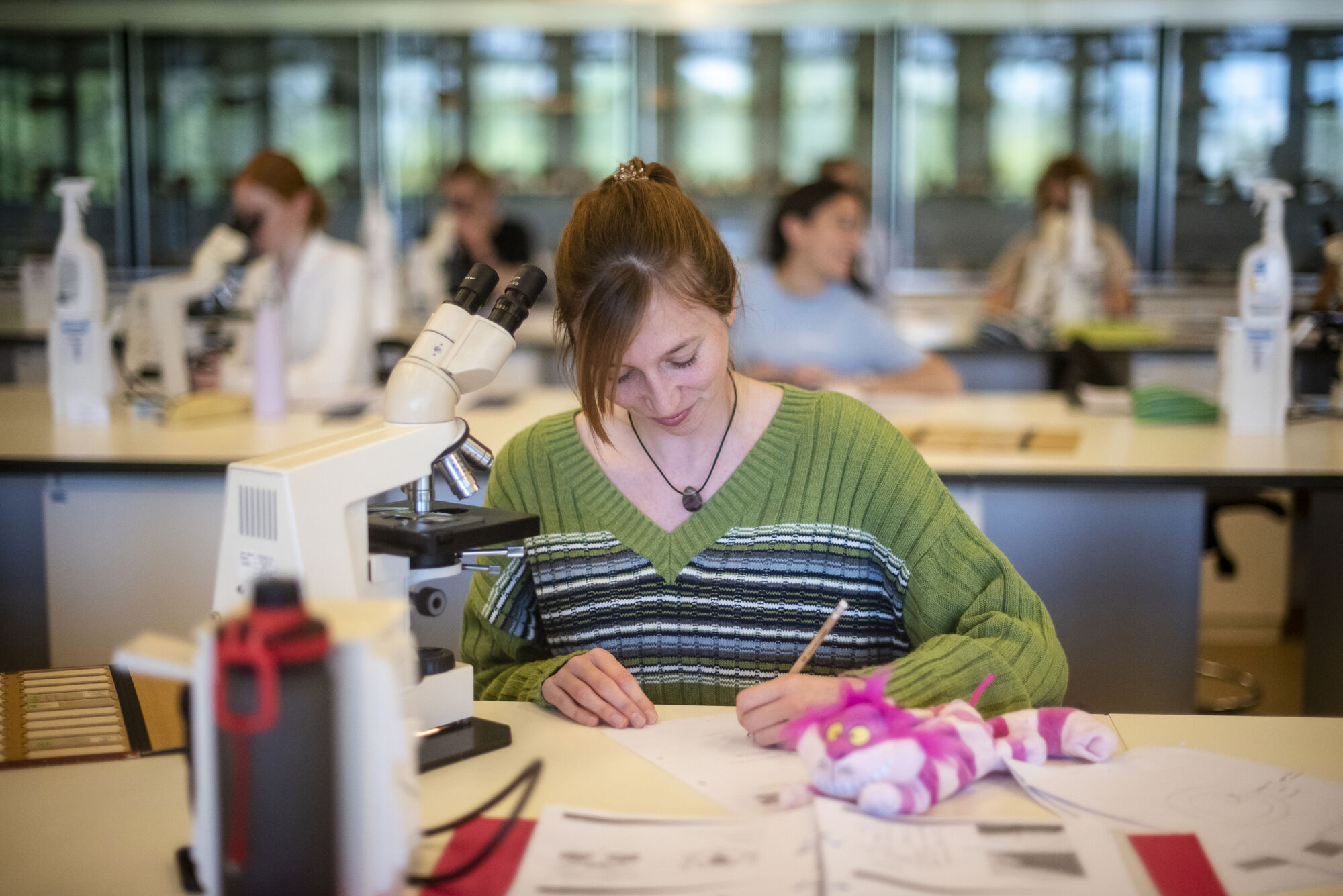 Biologie - Vorm en functie - Microscopie (31).jpg