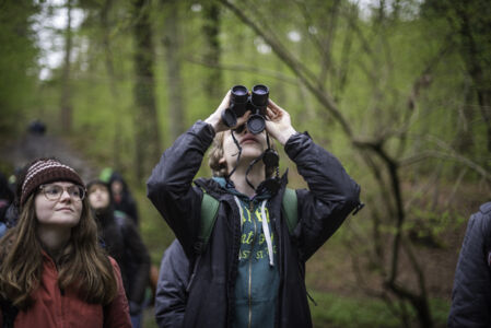 Hallerbos biologie (39).jpg