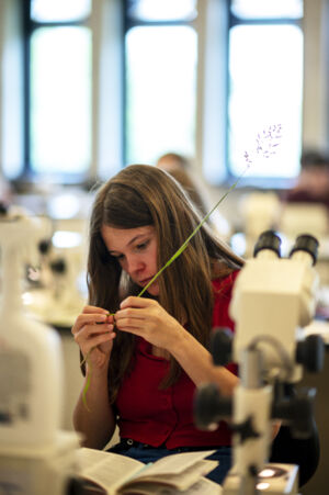Biologie practicum
