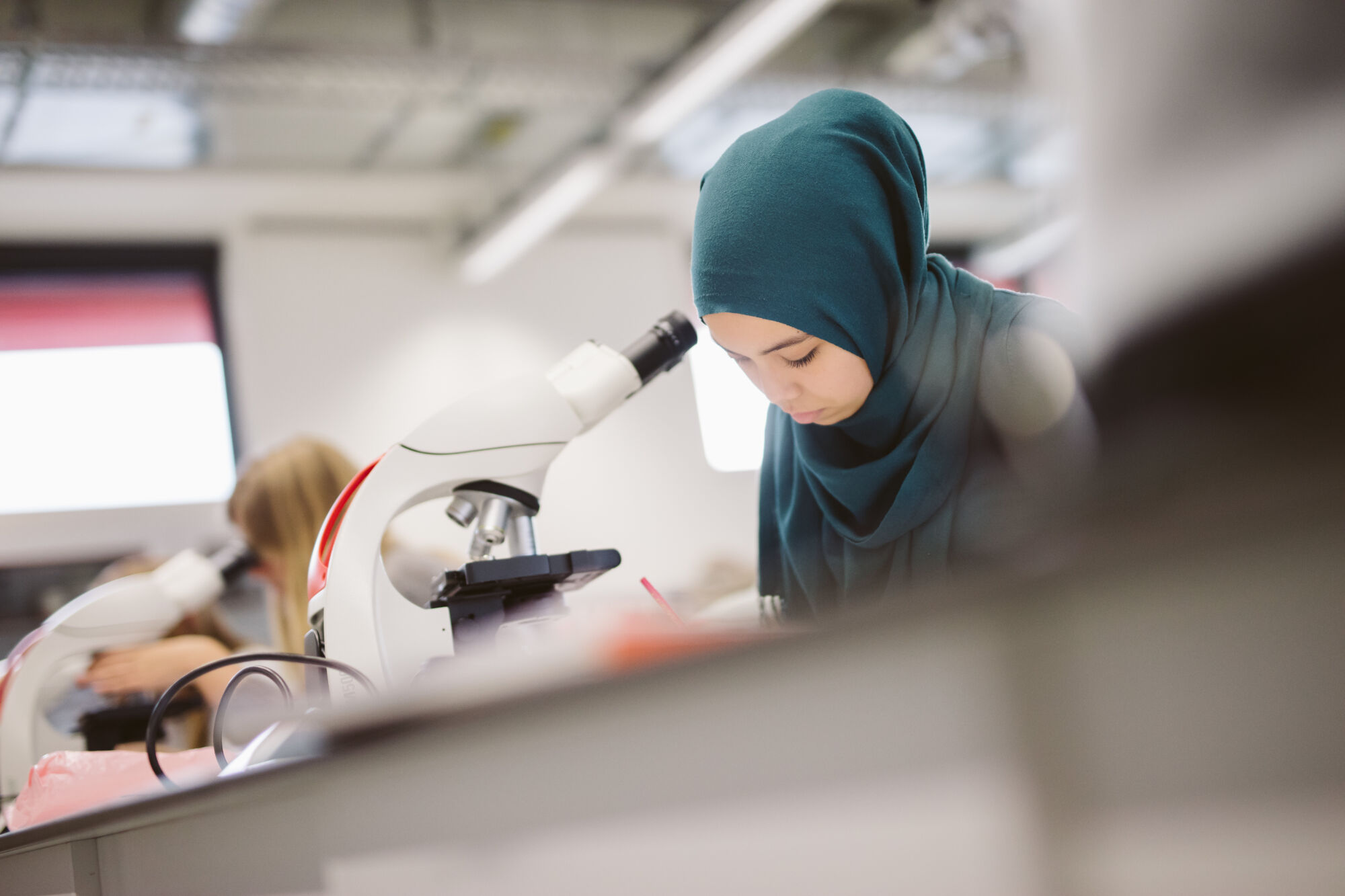 Long en nier practicum biomedische wetenschappen (11).jpg