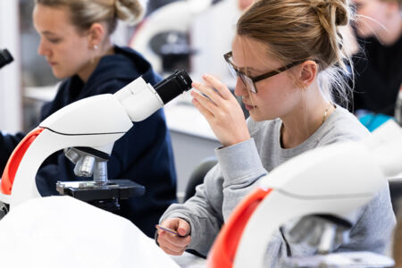 histologie-bachelorBMW-45.jpg