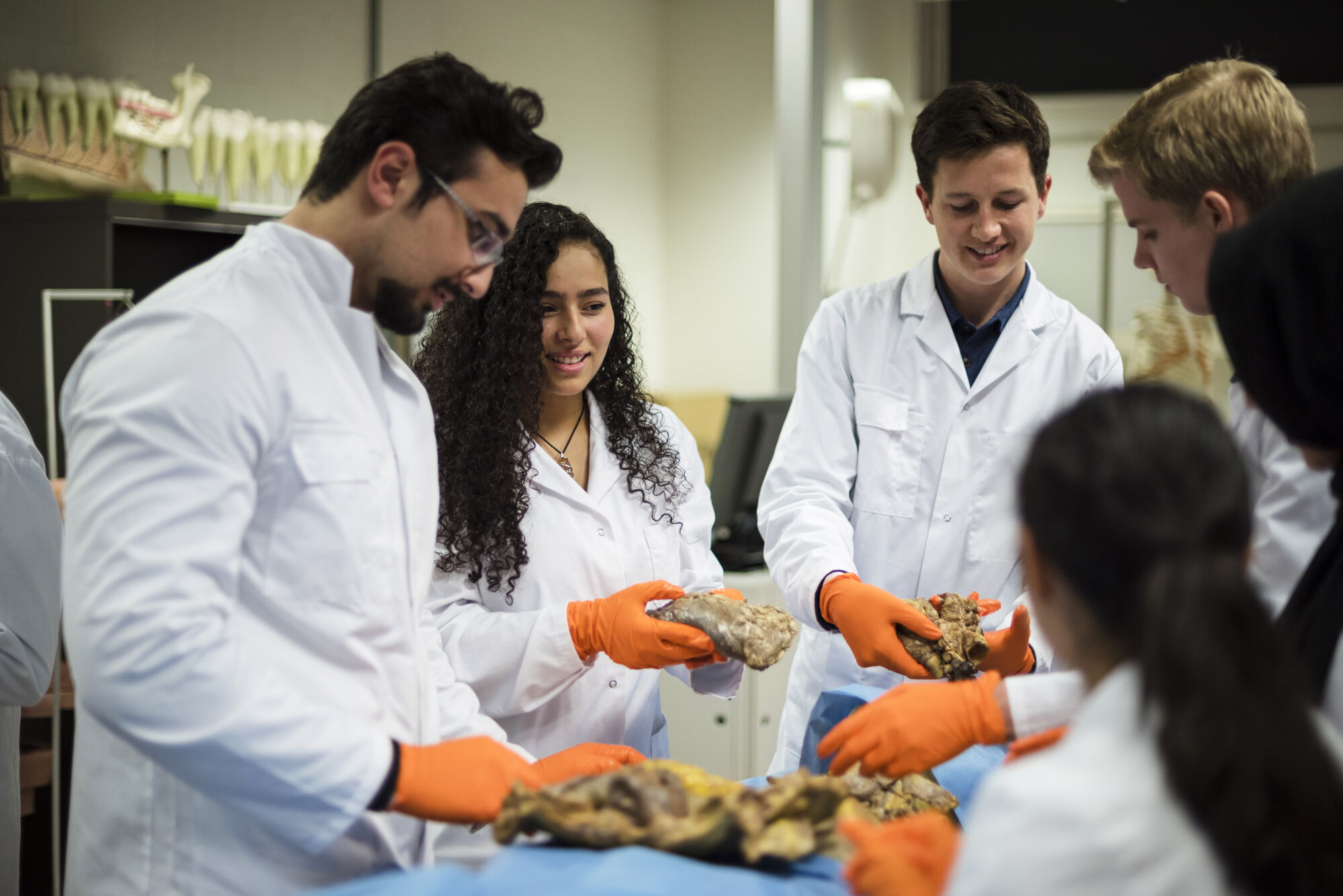 Anatomiepracticum geneeskunde (63).jpg