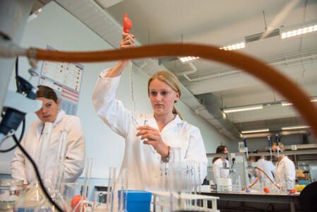 Geïntegreerd practicum bio-ingenieurswetenschappen (10).jpg