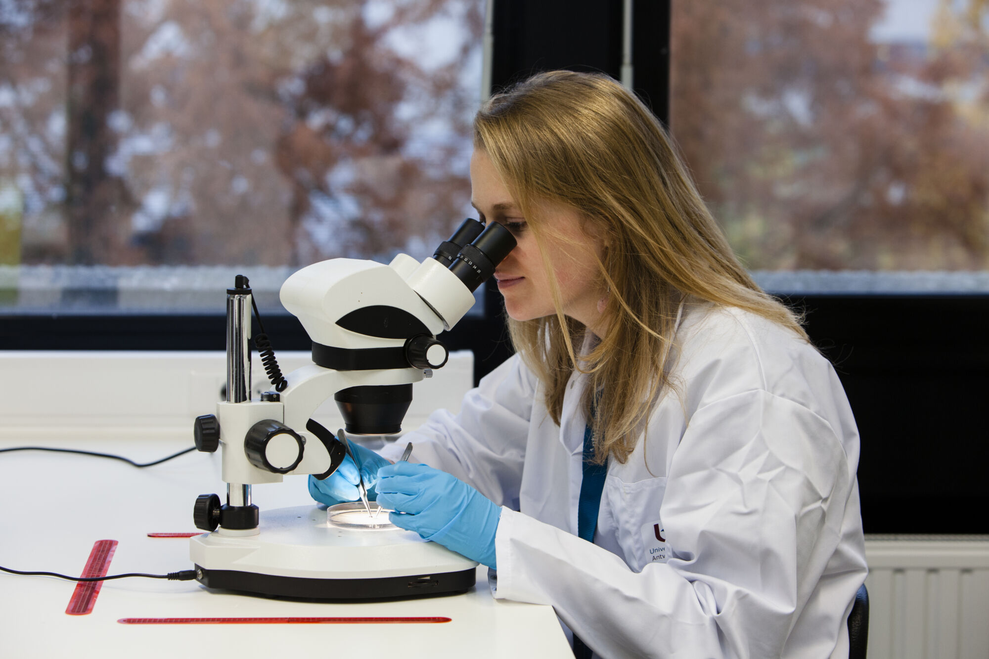 Translational Neurosciences (10).jpg