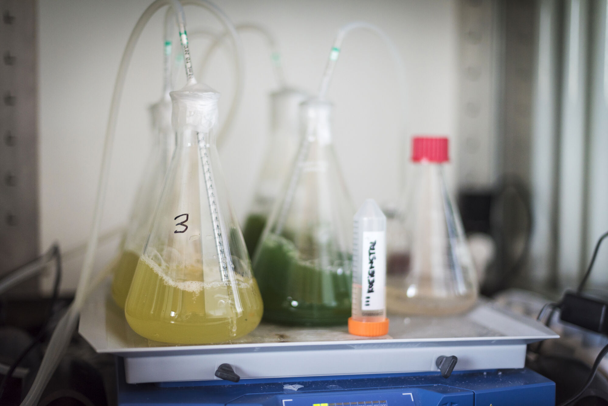 Practicum bio-ingenieurswetenschappen (21).jpg