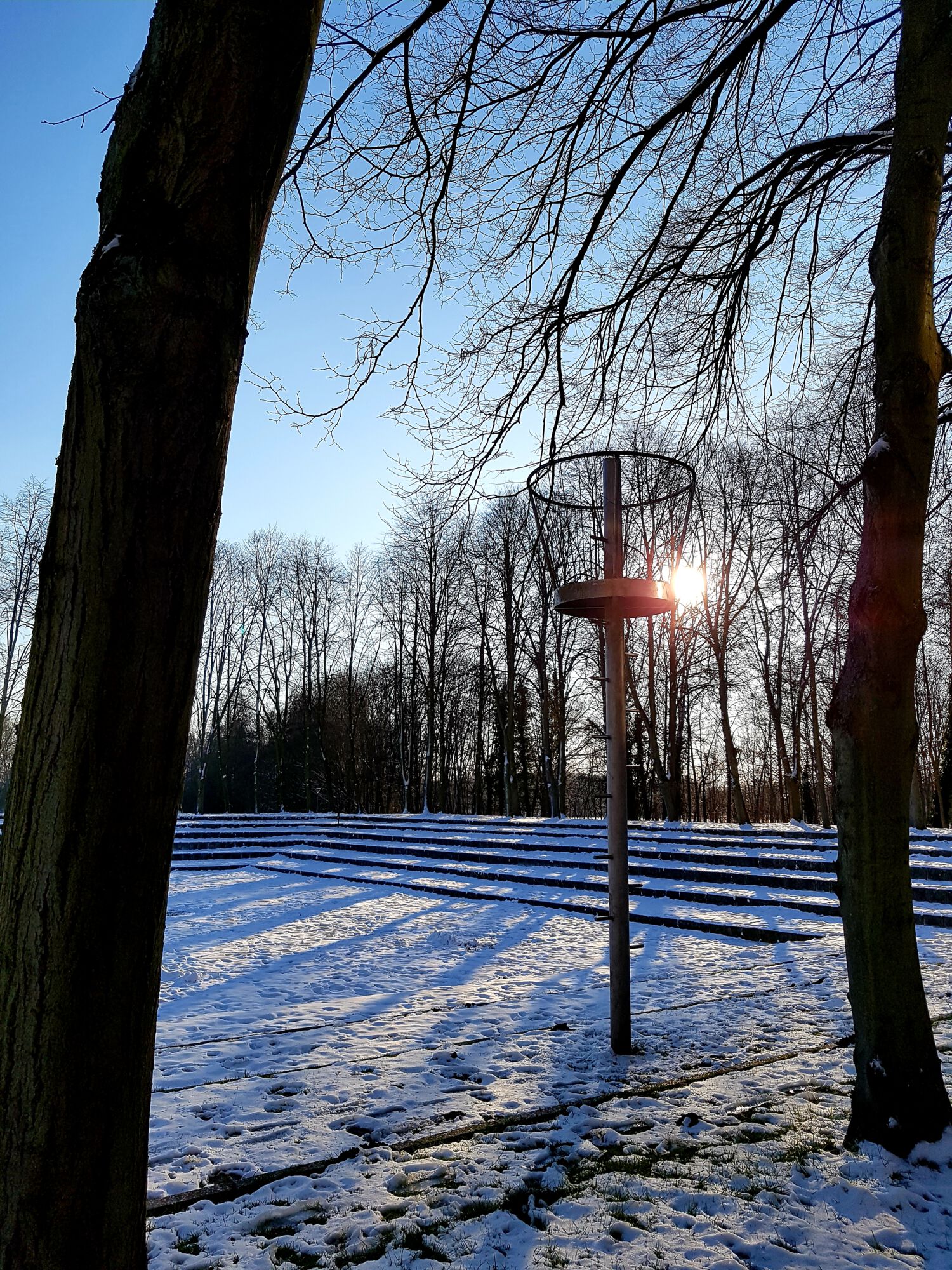 Sneeuwbeelden februari 2021 (14).jpg