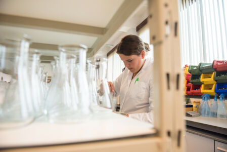 Geïntegreerd practicum bio-ingenieurswetenschappen (6).jpg