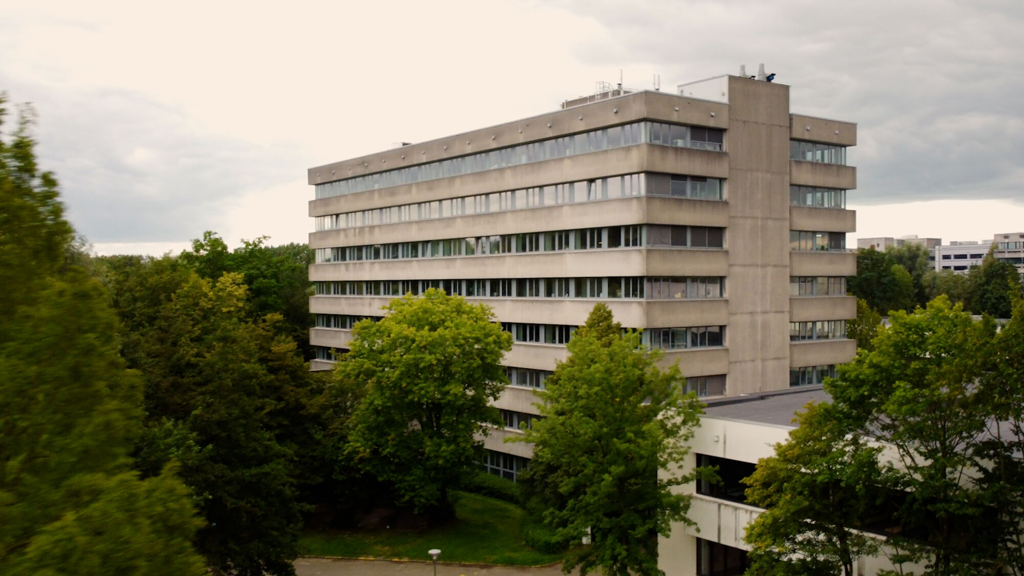 Biodiversiteit UAntwerpen 2021 (11).jpg