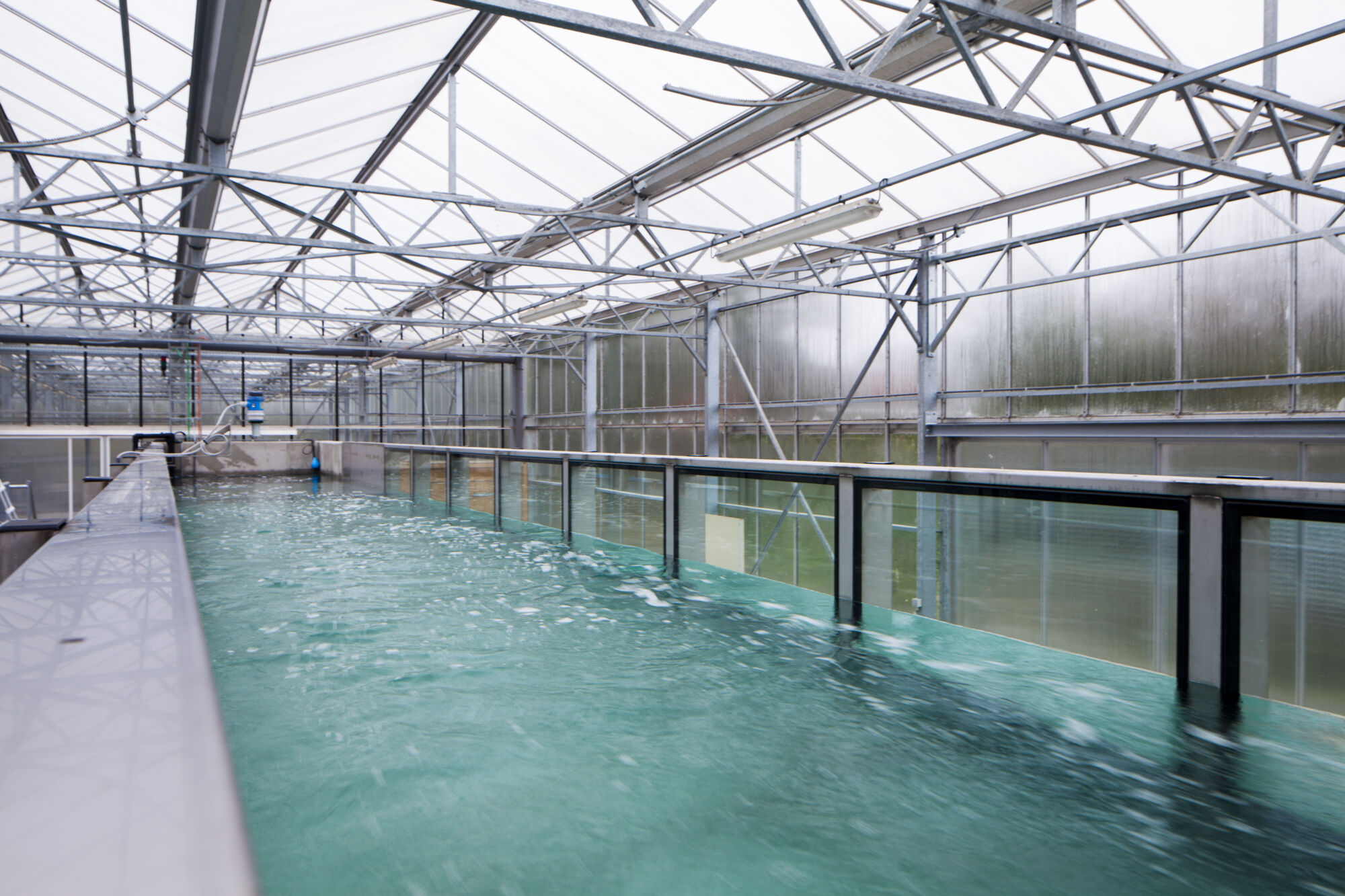 Mesodrome Infrastructuur (3).jpg