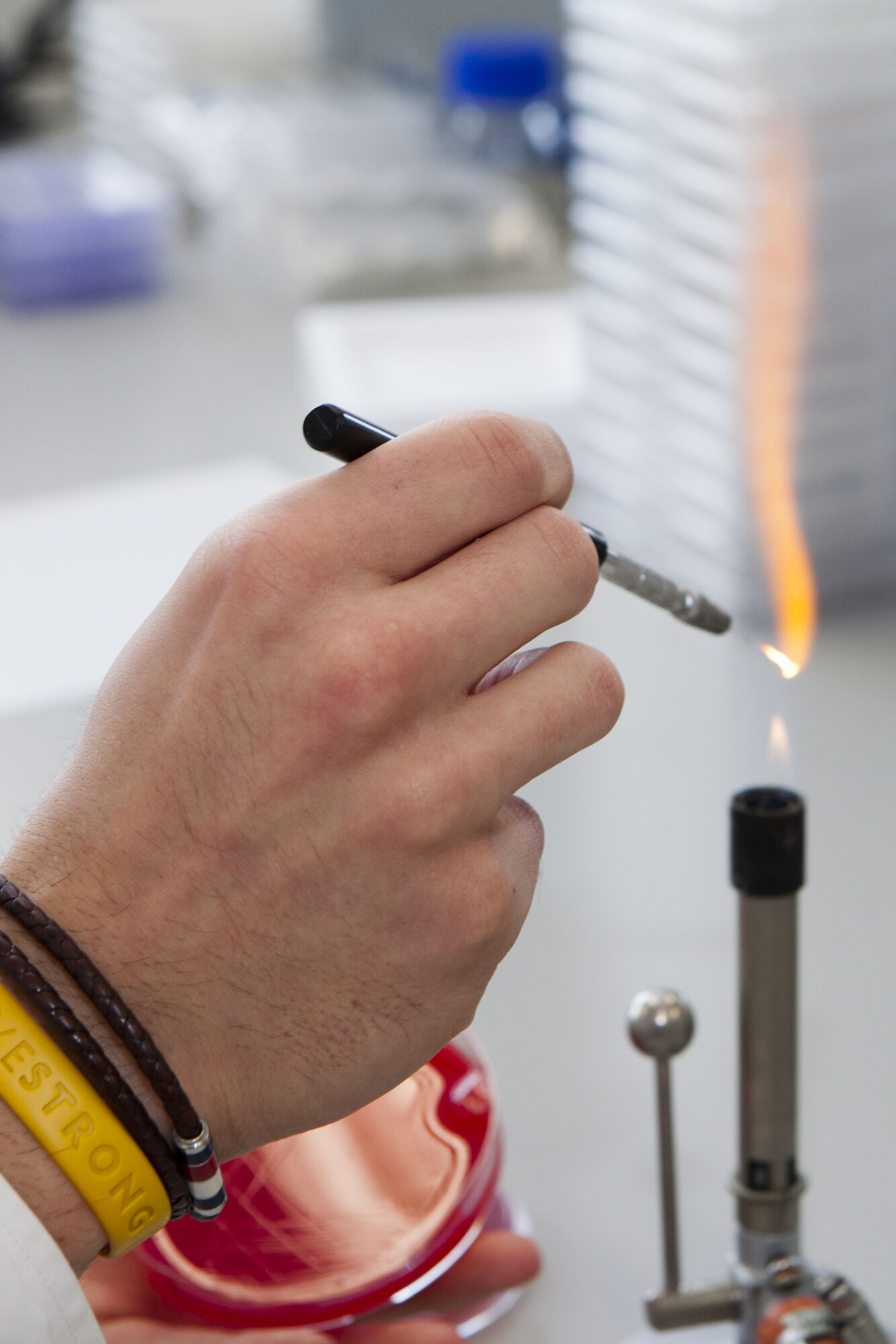 Laboratory of Medical Microbiology (55).jpg