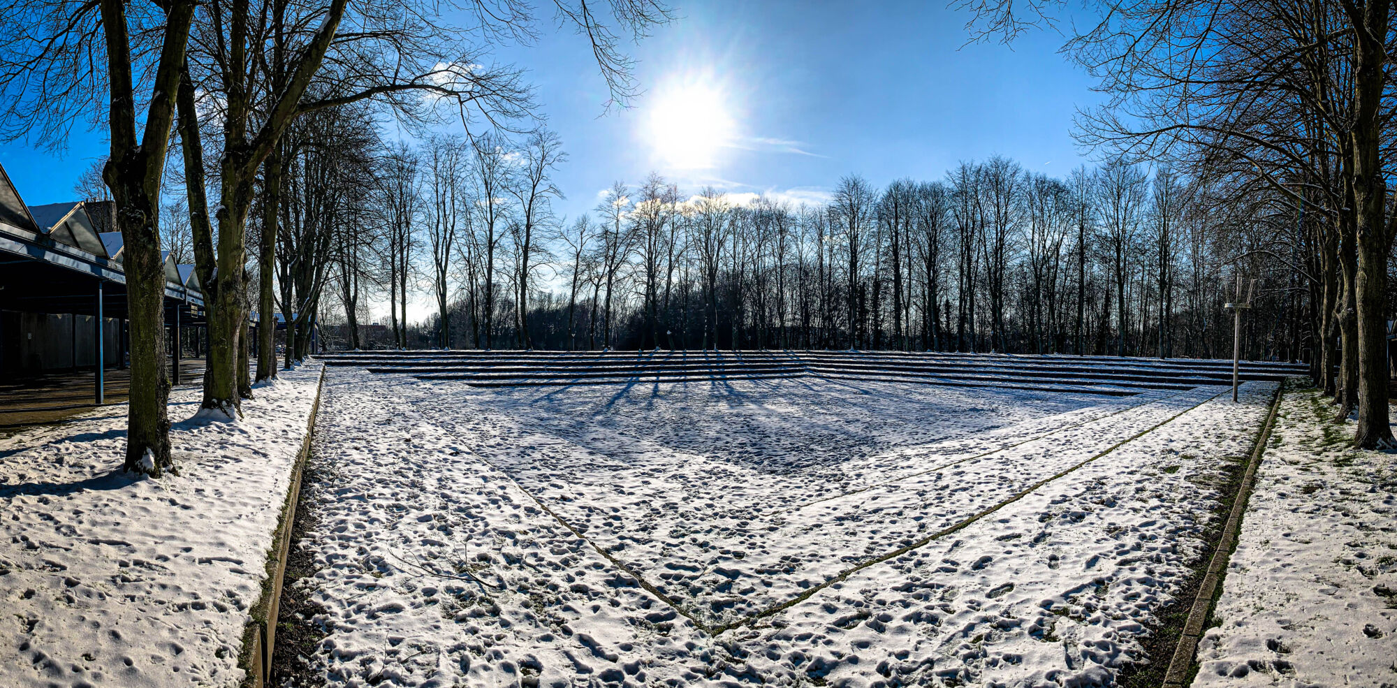 Sneeuwbeelden februari 2021 (23).jpg
