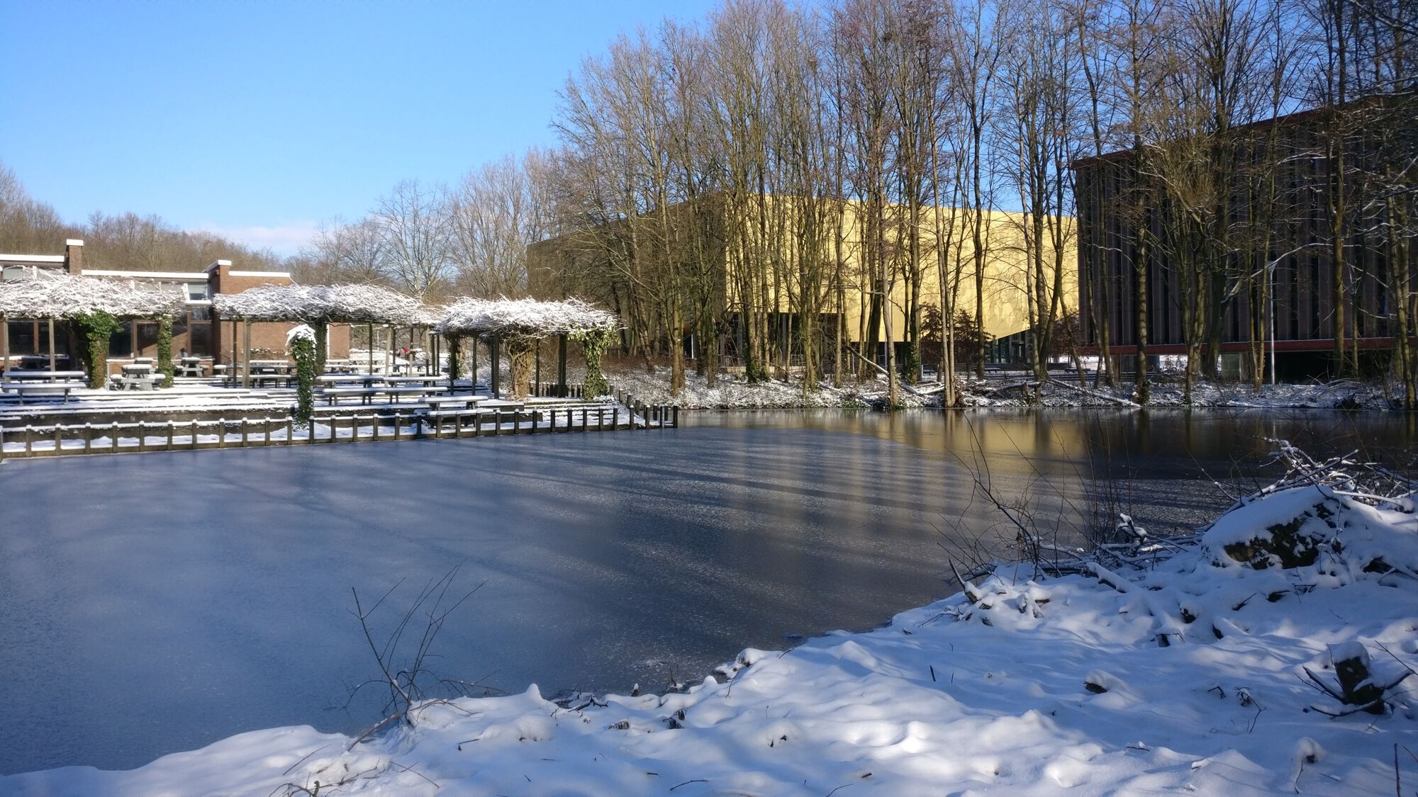 Sneeuwbeelden februari 2021 (04).jpg