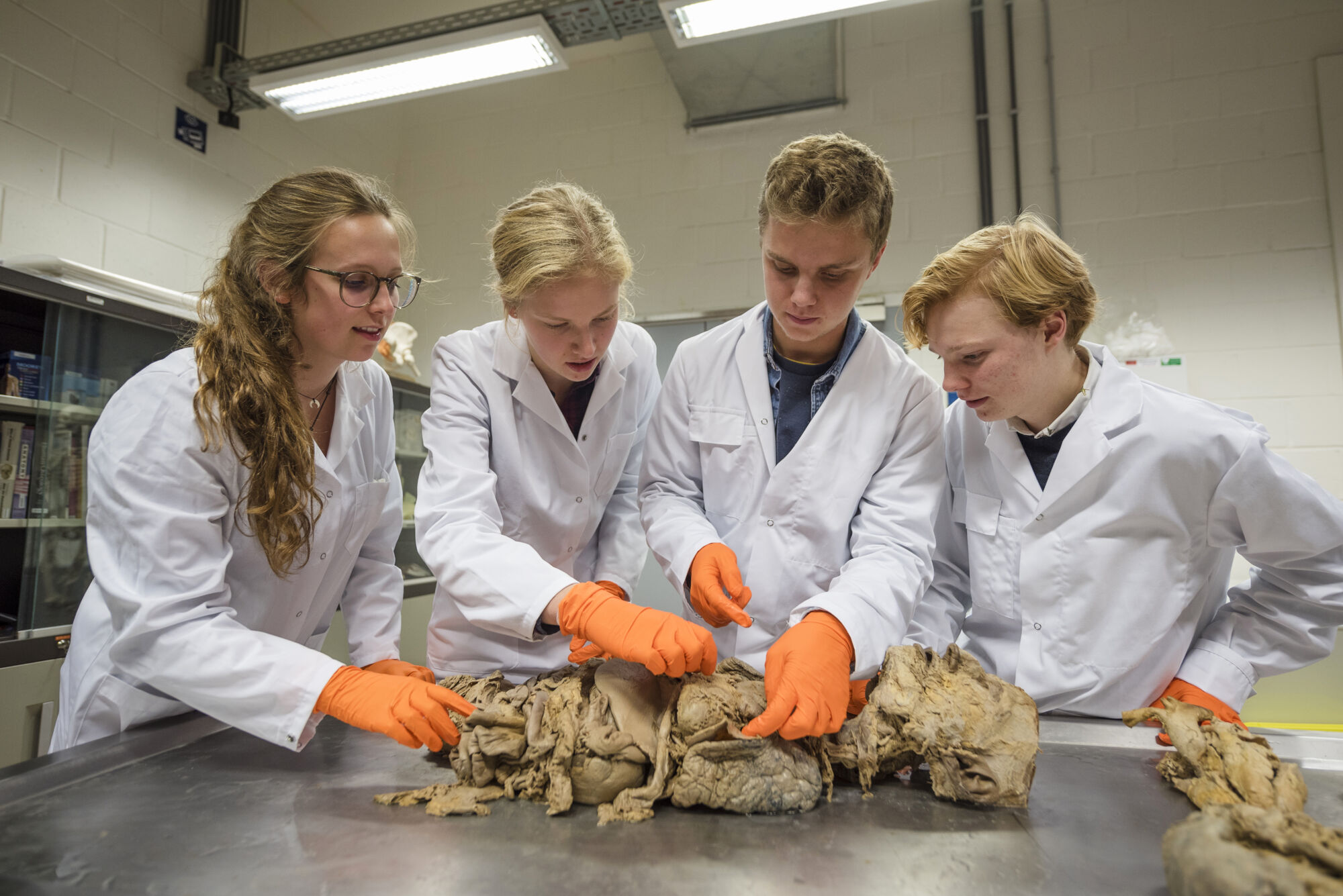 Anatomiepracticum geneeskunde (42).jpg